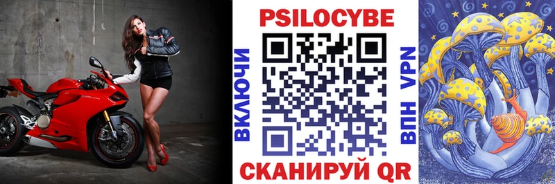 Псилоцибиновые грибы Magic Shrooms  закладки  это формула  Игра 