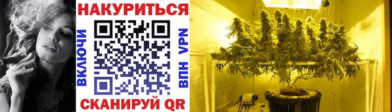 купить закладку  ссылка на мегу онион  Шишки марихуана Amnesia  Игра 